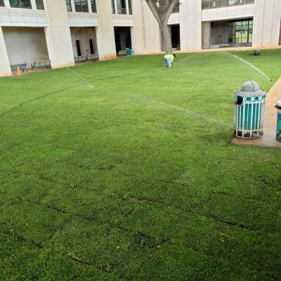 RJP Landscaping - Honolulu Grass Installation