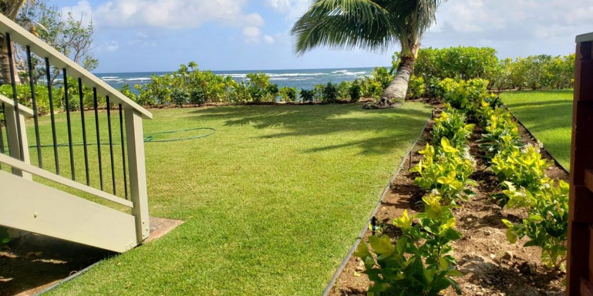 RJP Landscaping - Honolulu Landscaping & Lawn Maintenance