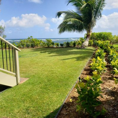 RJP Landscaping - Honolulu Landscaping & Lawn Maintenance